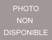 sirops-sirops-bio-sirop-the-vert-heliofe.-0.50-l